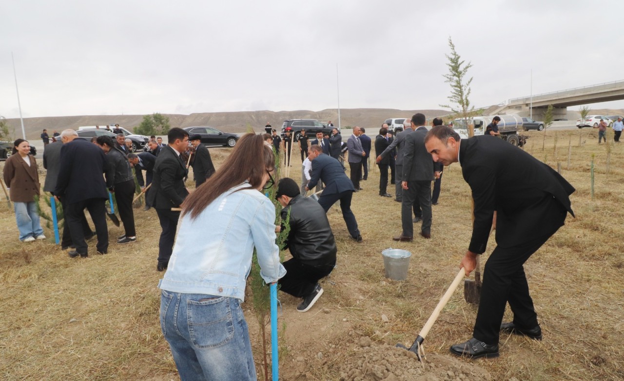 Qazaxda ağacəkmə aksiyası keçirildi - FOTOLAR